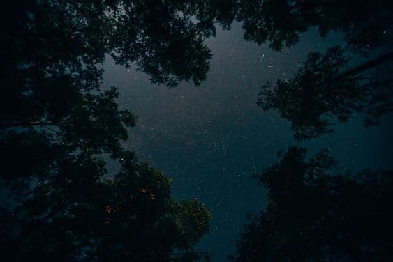 Finding Orion